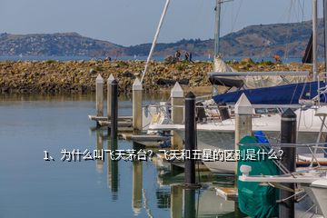 1、為什么叫飛天茅臺(tái)？飛天和五星的區(qū)別是什么？