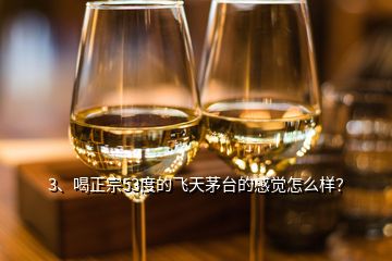 3、喝正宗53度的飛天茅臺(tái)的感覺怎么樣？