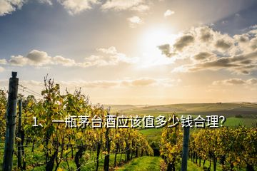 1、一瓶茅臺酒應(yīng)該值多少錢合理？