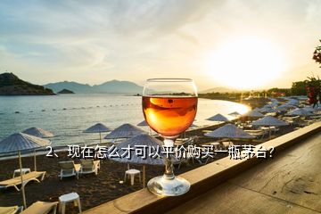 2、現(xiàn)在怎么才可以平價(jià)購(gòu)買一瓶茅臺(tái)？