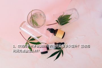 1、你覺得貴州茅臺(tái)2019年的業(yè)績(jī)能有多少提升？營(yíng)收和利潤(rùn)方面會(huì)怎么樣？