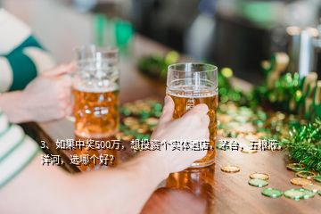 3、如果中獎500萬，想投資個實體酒店，茅臺，五糧液，洋河，選哪個好？