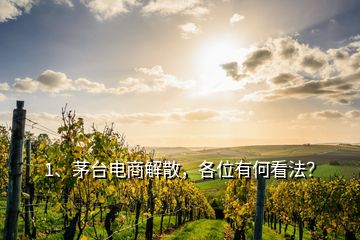 1、茅臺(tái)電商解散，各位有何看法？