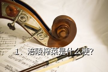 1、涪陵榨菜是什么梗？