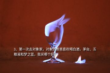 3、第一次去對象家，對象的爸爸喜歡喝白酒，茅臺、五糧液和夢之藍，我買哪個好？