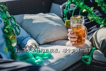 1、飛天茅臺和五糧液，哪個更好一點？