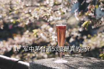 1、軍中茅臺(tái)酒53度是真的嗎？