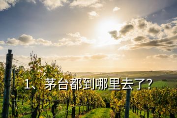 1、茅臺(tái)都到哪里去了？