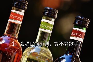 1、會唱民間小調(diào)，算不算歌手？