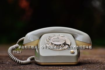 3、茅臺(tái)和五糧液，今年雙雙破千億，在白酒市場意味著什么？