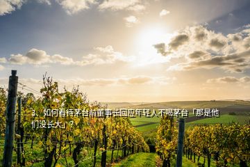 3、如何看待茅臺前董事長回應(yīng)年輕人不喝茅臺「那是他們沒長大」？