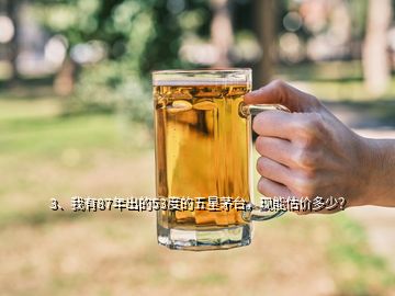 3、我有87年出的53度的五星茅臺(tái)，現(xiàn)能估價(jià)多少？