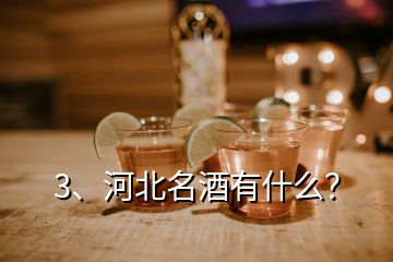 3、河北名酒有什么？