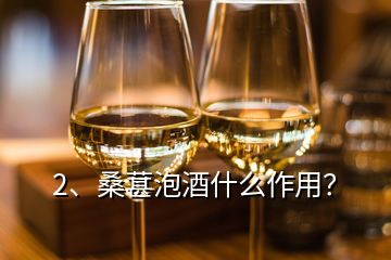 2、桑葚泡酒什么作用？