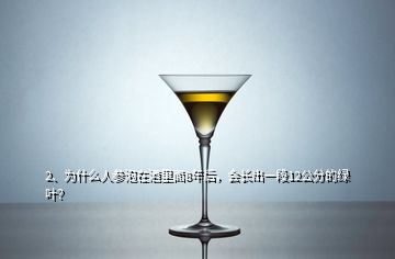 2、為什么人參泡在酒里面8年后，會(huì)長出一段12公分的綠葉？