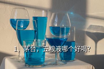 1、茅臺，五糧液哪個好喝？