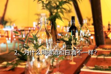 2、為什么喝啤酒和白酒不一樣？