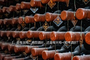 1、是每天喝二兩白酒好，還是每天喝一瓶啤酒好？