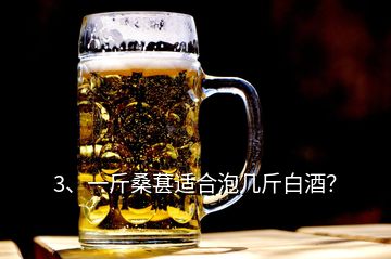 3、一斤桑葚適合泡幾斤白酒？