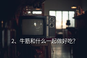 2、牛筋和什么一起做好吃？