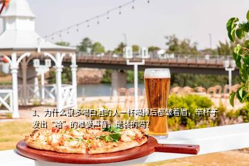 3、為什么很多喝白酒的人一杯喝掉后都皺著眉，舉杯子發(fā)出“哈”的難受聲音，是裝的嗎？