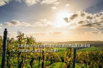 1、五糧液狀告已經(jīng)注冊20多年的甘肅白酒品牌九糧液侵權(quán)，到底是什么做法？什么意思？