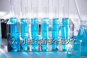 2、小瓶白酒哪個(gè)最火？