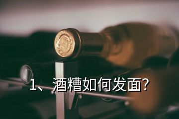 1、酒糟如何發(fā)面？