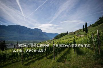 1、喝其他白酒經(jīng)常容易暈，可是喝茅臺白酒就感覺不怎么上頭，這是為什么呢？