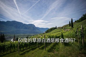 4、60度的草原白酒是糧食酒嗎？