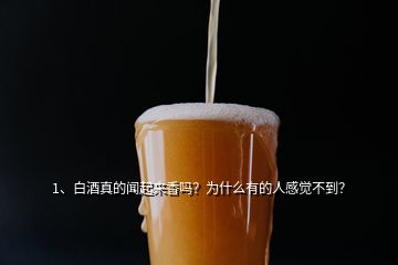 1、白酒真的聞起來香嗎？為什么有的人感覺不到？