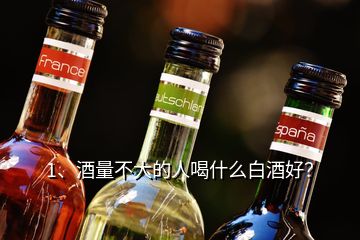 1、酒量不大的人喝什么白酒好？