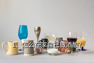 1、怎么在家自己做酒釀？