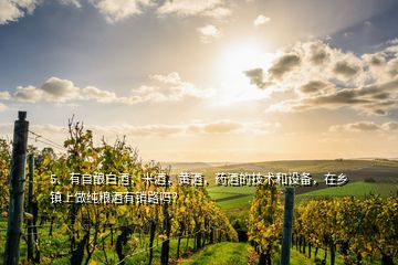 5、有自釀白酒，米酒，黃酒，藥酒的技術(shù)和設(shè)備，在鄉(xiāng)鎮(zhèn)上做純糧酒有銷(xiāo)路嗎？