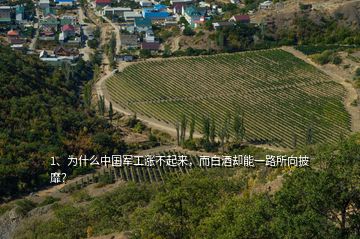 1、為什么中國軍工漲不起來，而白酒卻能一路所向披靡？