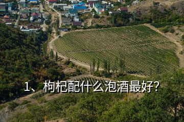 1、枸杞配什么泡酒最好？