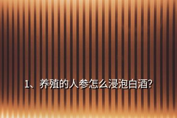 1、養(yǎng)殖的人參怎么浸泡白酒？