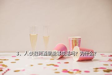 3、人參泡到酒里能夠成活嗎？為什么？