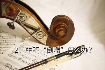 2、牛不“倒嚼”怎么辦？