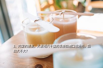 3、內(nèi)蒙的朋友，大家喝六十度的草原白酒口感好嗎，后勁大不大？