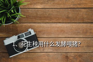 1、花生秧用什么發(fā)酵喂豬？