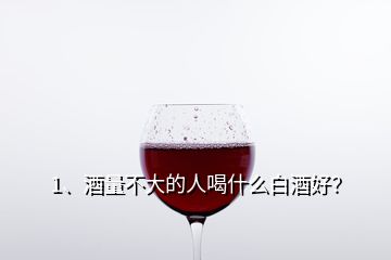 1、酒量不大的人喝什么白酒好？