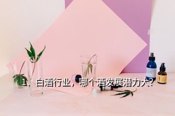 1、白酒行業(yè)，哪個酒發(fā)展?jié)摿Υ螅?></p><p>未來白酒消費向名酒品牌集中，向區(qū)域龍頭品牌集中，向品類代表品牌集中?？偟膩碚f，全國化會向百億級品牌集中，區(qū)域化品牌會50億級龍頭品牌集中，目前過百億的企業(yè)有10家：1、<a href=