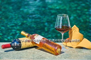 1、為什么要給母豬喝白酒呢？白酒對(duì)母豬有什么神奇的效果呢？