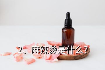 2、麻辣燙是什么？