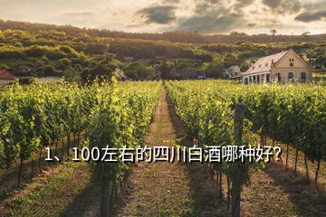 1、100左右的四川白酒哪種好？