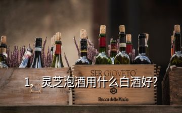 1、靈芝泡酒用什么白酒好？