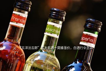 1、“五洋汾古郎”五大名酒一窩蜂漲價，白酒行業(yè)怎么了？