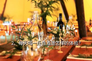 2、每天喝一斤白酒是怎樣的體驗？