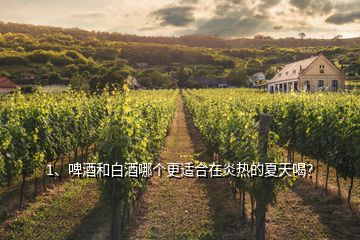 1、啤酒和白酒哪個(gè)更適合在炎熱的夏天喝？